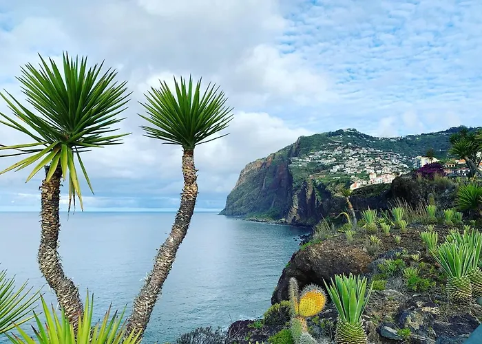 Ocean Cliff Apartment